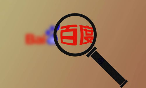 反馈蜘蛛池